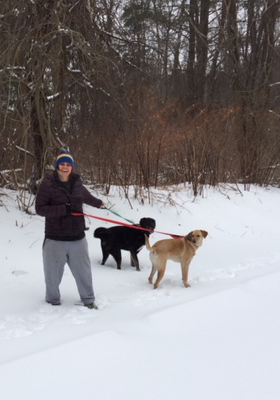 volunteer walking dogs in the snow